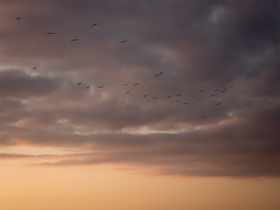 SensAI Go Devlog 0.4