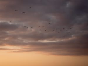 SensAI Go Devlog 0.4